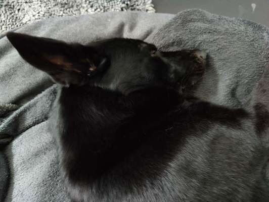 Ratespaß geht weiter-Beitrag-Bild