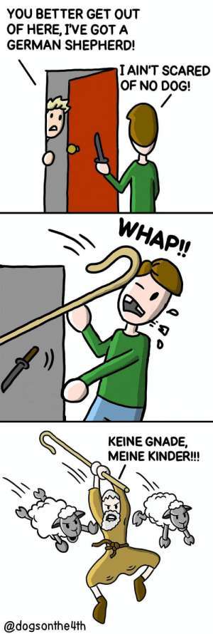 Hunde Memes-Beitrag-Bild