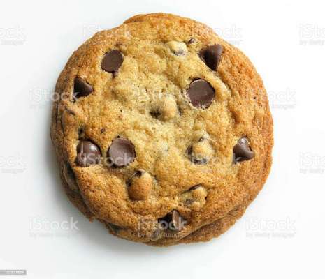 Wie heißt dein Hund?-Beitrag-Bild