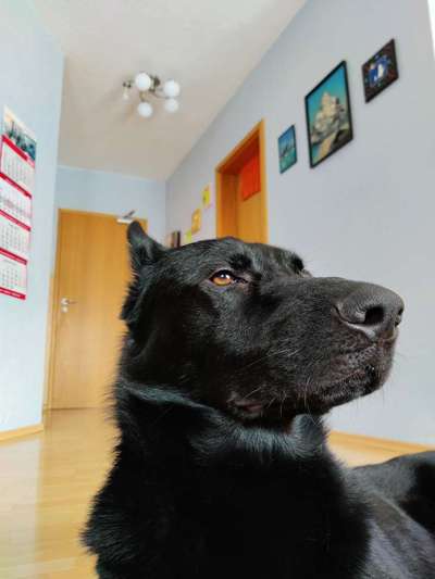 Hier ist der Spaßthread. Zum Schmunzeln und Kaputtlachen-Beitrag-Bild