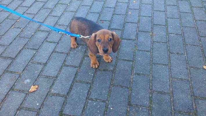 Das erste Foto-Beitrag-Bild