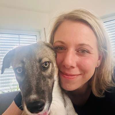 Hundetreffen-Gemeinsam spazieren  und spielen-Profilbild