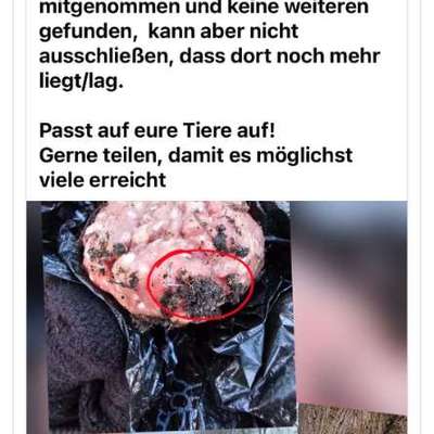 Giftköder-Giftköder-Bild