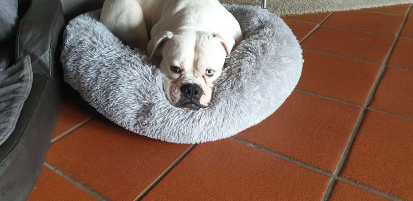 Erfahrung mit Wolkenbett-Beitrag-Bild