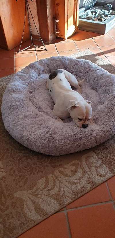 Erfahrung mit Wolkenbett-Beitrag-Bild