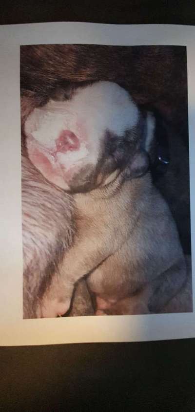 Sie werden so schnell erwachsen ...-Beitrag-Bild