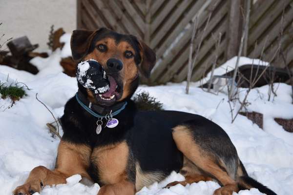 LUSTIGE FOTOS! WER KANN MITHALTEN?-Beitrag-Bild