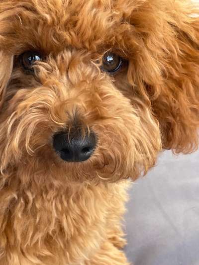 Zeigt eure Portraits-Beitrag-Bild