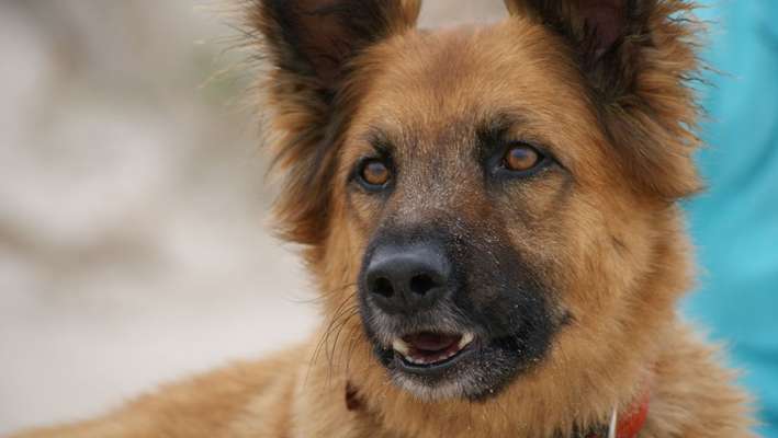 Zeigt eure Portraits-Beitrag-Bild