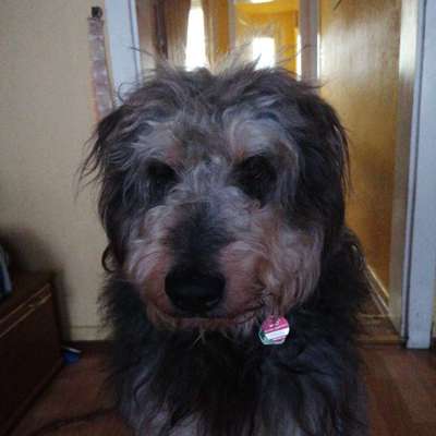 Fotochallenge No. 26                                     Wald und Wiese-Beitrag-Bild