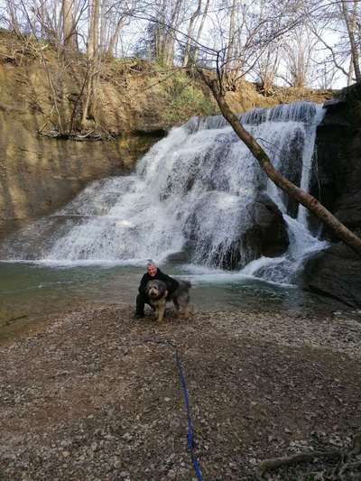 Fotochallenge No. 26                                     Wald und Wiese-Beitrag-Bild