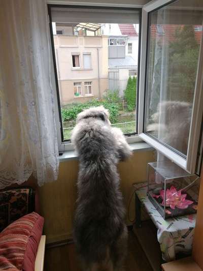 Fotochallenge No. 26                                     Wald und Wiese-Beitrag-Bild