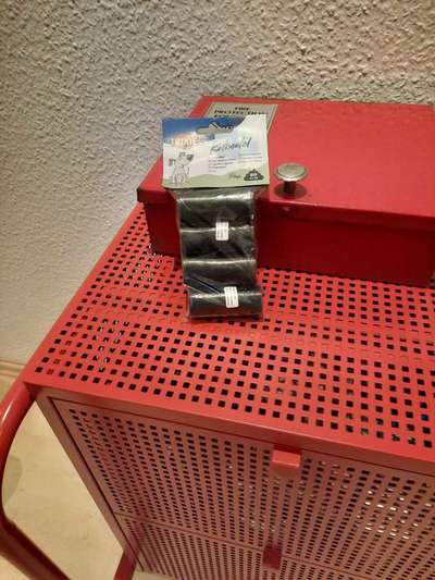 Hundekot wegräumen-Beitrag-Bild