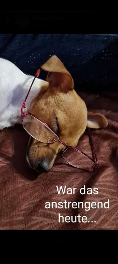 Fotochallenge Nr. 62 Romantische Momente-Beitrag-Bild