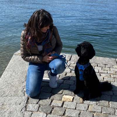 Hundetreffen-Hoopers Üben-Profilbild