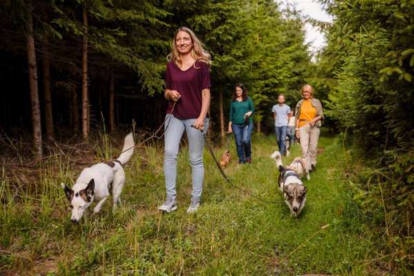 Giftköder-Hundewanderung-Bild