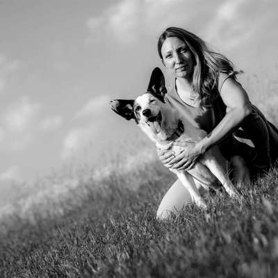 Hundeschulen-Sechster Sinn - Coaching Mensch Hund-Bild