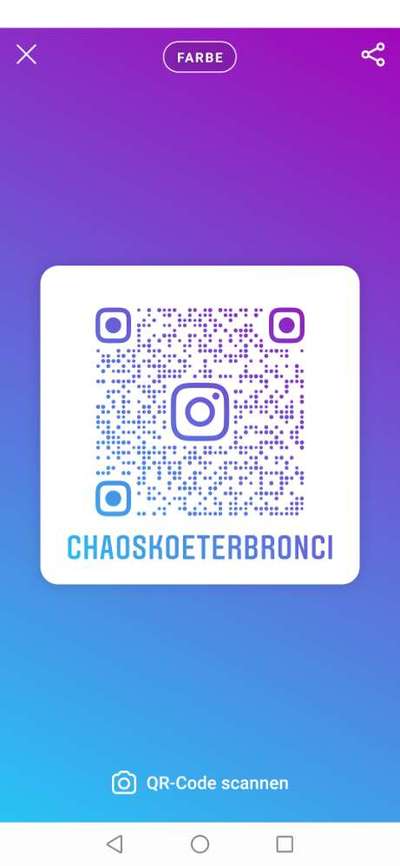 Foto's und Hundemodels-Beitrag-Bild