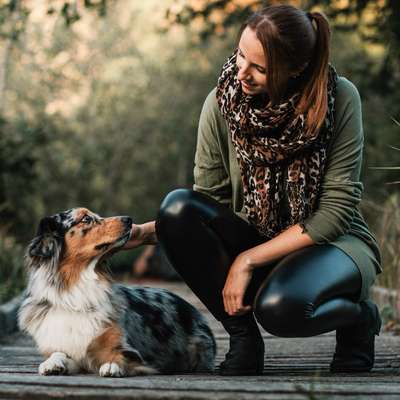 Hundetreffen-Fotoshooting:)-Bild