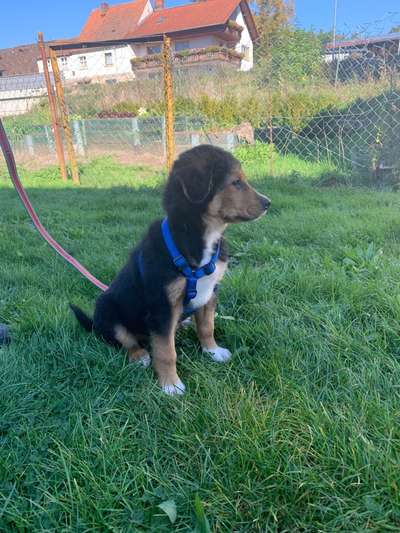 Erstes Bild-Beitrag-Bild