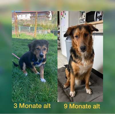 Sie werden so schnell groß!-Beitrag-Bild