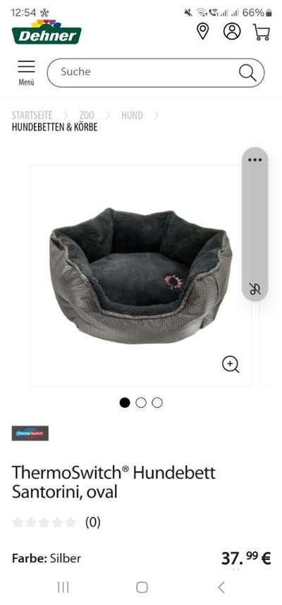 Decke für Hunde denen schnell warm ist-Beitrag-Bild