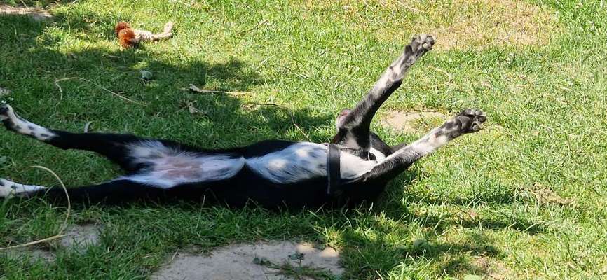 Foto Challenge - Zeigt her eure Bäuche-Beitrag-Bild