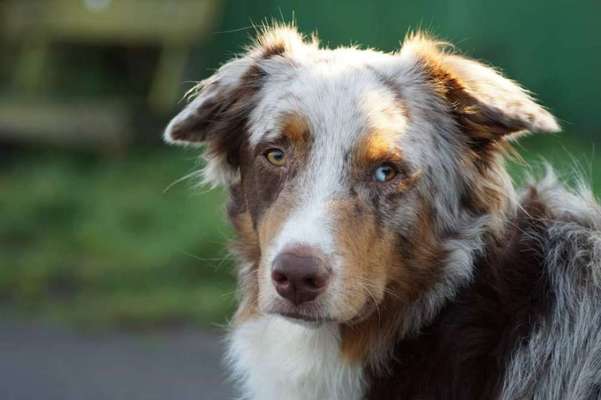 Lieblingsbild-Beitrag-Bild