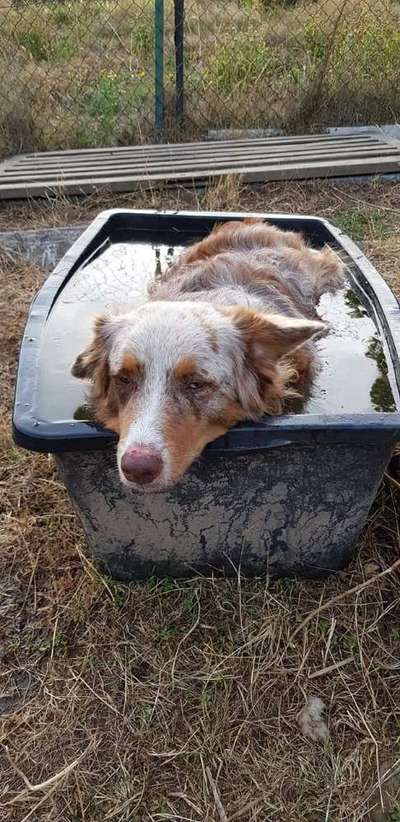 Lieblingsbild-Beitrag-Bild