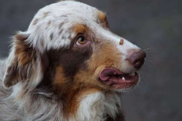 Handyfoto challenge Nr. 13: Waschlappen raus!-Beitrag-Bild