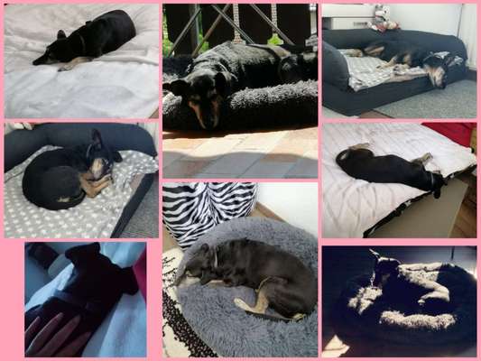 42. Collage Challenge - Ruheplatz-Beitrag-Bild