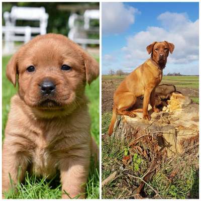 Vorher.... Nachher-Beitrag-Bild