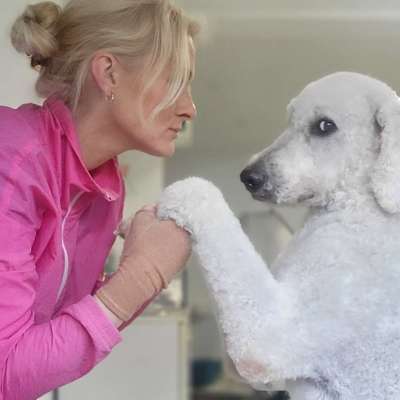 Hundetreffen-Hundefriseurin-Profilbild