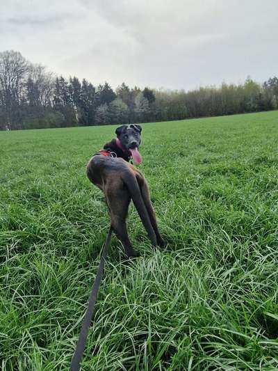 Fotowettbewerb Natur-Beitrag-Bild