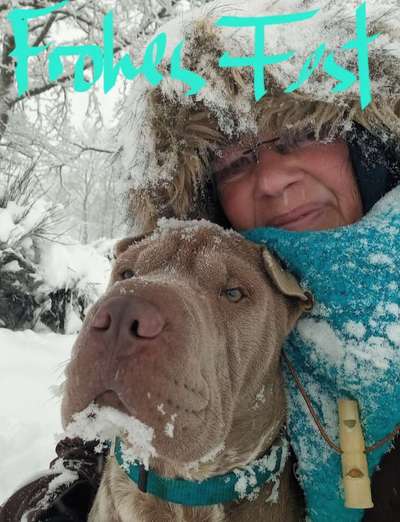 LEINENPFLICHT AM RHEIN-Beitrag-Bild