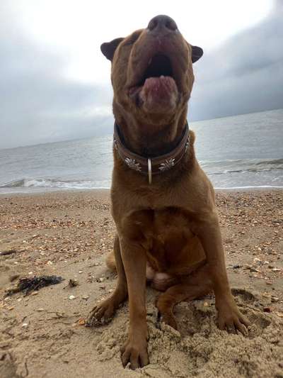 37. Collagen Challenge- Am Strand-Beitrag-Bild