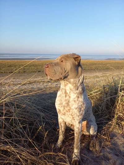 45. Collage Challenge - Lieblingsurlaubs/ Ausflugsziele-Beitrag-Bild