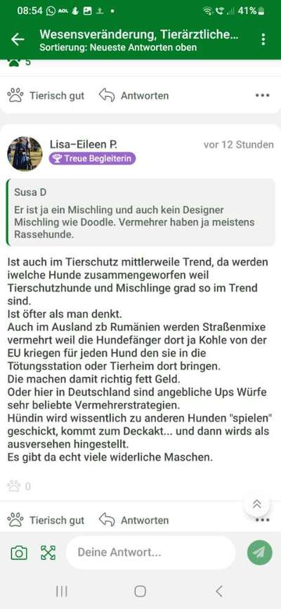 Wesensveränderung, Tierärztliche Untersuchung-Beitrag-Bild