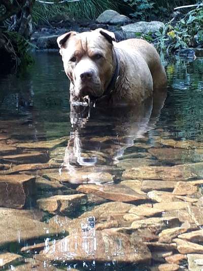 35. Handy Foto Challenge - Das nasse Element-Beitrag-Bild