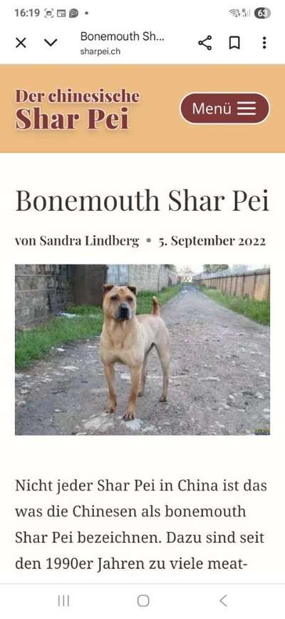 Qualzucht - Warum Aufklärung alleine nicht reicht-Beitrag-Bild