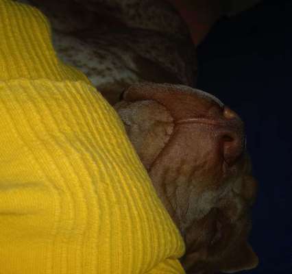 143. Fotochallenge: Ja, wo isser denn?-Beitrag-Bild