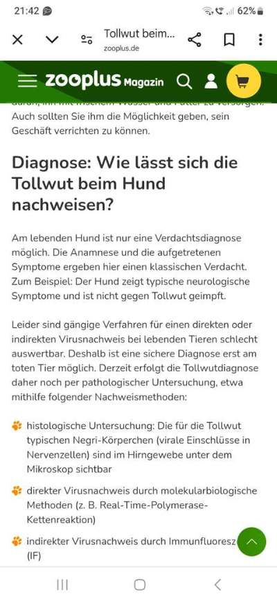 Impfen ja oder nein?-Beitrag-Bild