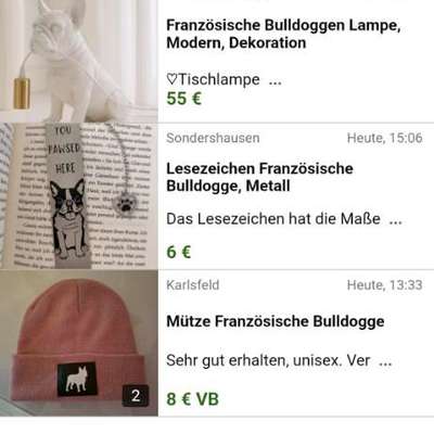 Qualzucht - Warum Aufklärung alleine nicht reicht-Beitrag-Bild