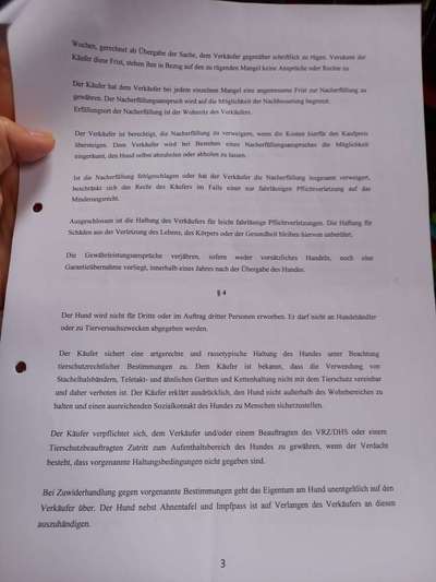 Überbiss beim Welpe-Beitrag-Bild