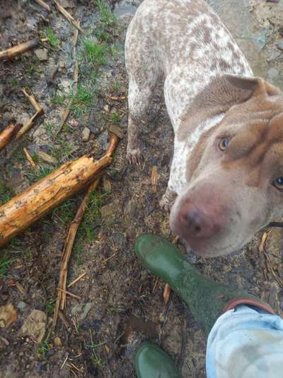 Freundschaftsanfragen-Beitrag-Bild