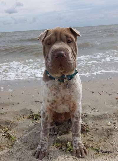 6. Collagen Challenge - Die schönsten Momente in der Natur-Beitrag-Bild