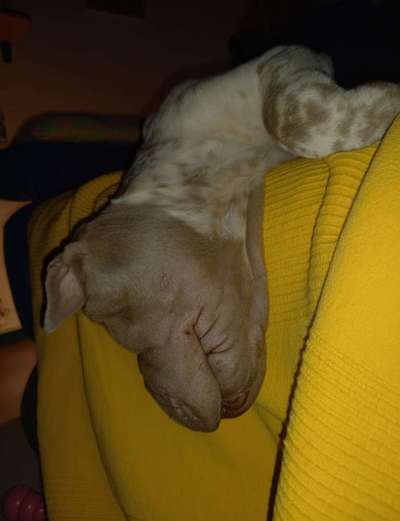 Ratespaß geht weiter-Beitrag-Bild