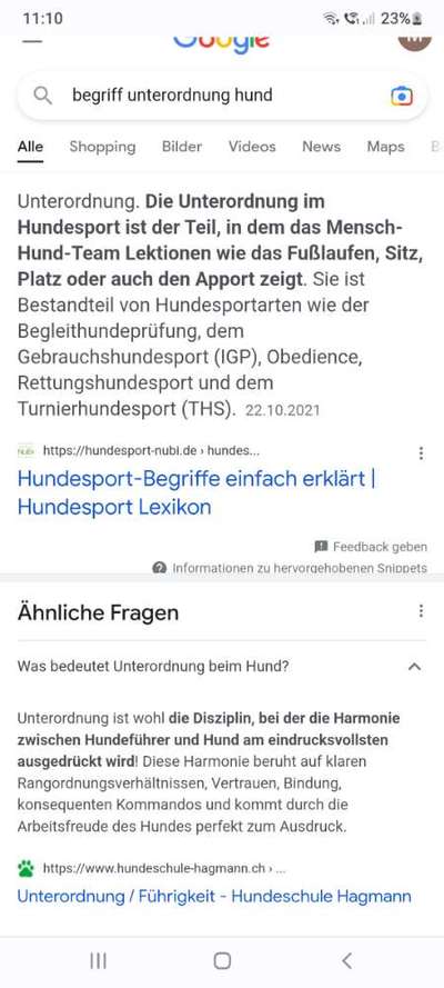 Wir müssen über tierschutzwidriges Hundezubehör reden!-Beitrag-Bild