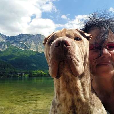 Hundetreffen-Gemeinsame Spaziergänge in oder Nähe Andorf!-Bild