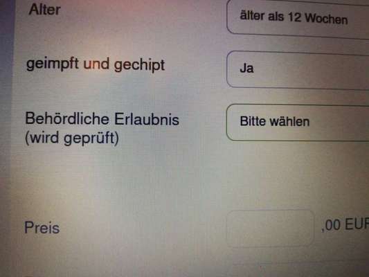 Vermehrung - Kasse statt klasse-Beitrag-Bild